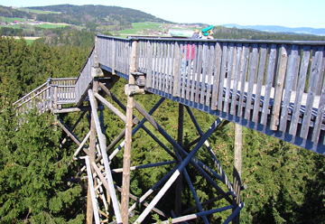 Waldwipfelweg Sankt Englmar