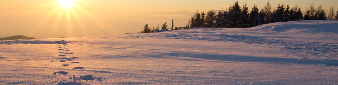 Pauschalangebote Bodenmais Bayerischer Wald Pension Koller